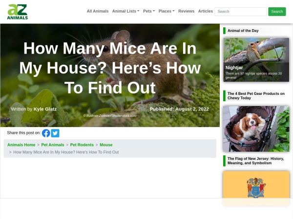 Screenshot of website
