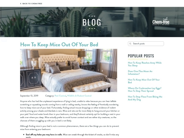 Screenshot of website