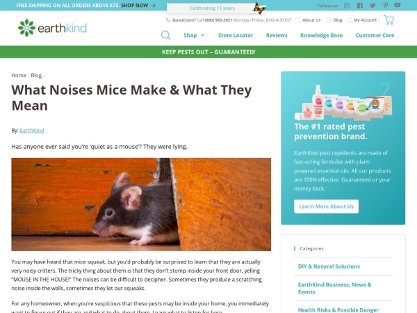 Screenshot of website
