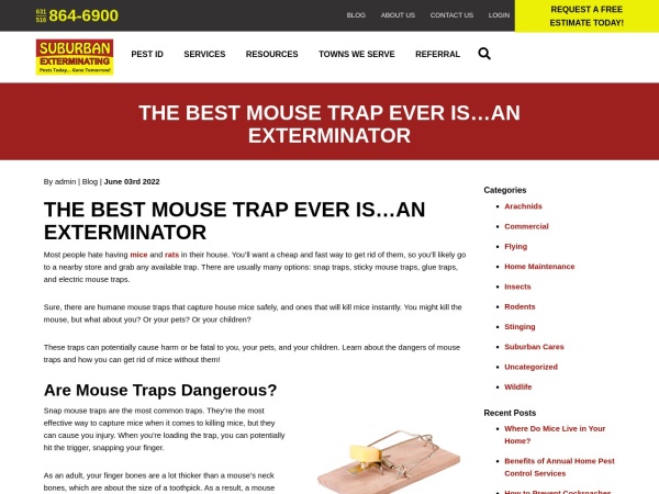 Screenshot of website