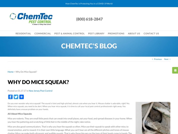 Screenshot of website