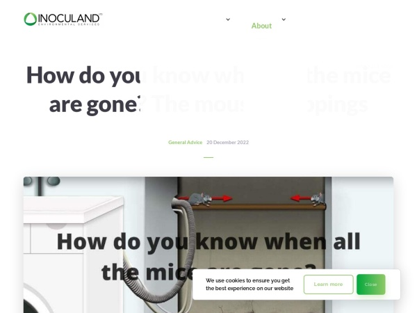 Screenshot of website