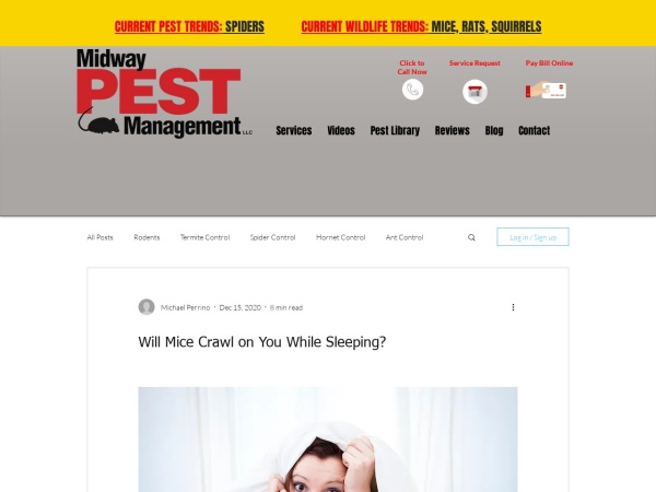 Screenshot of website