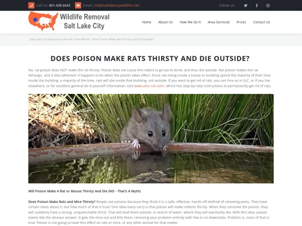 Screenshot of website