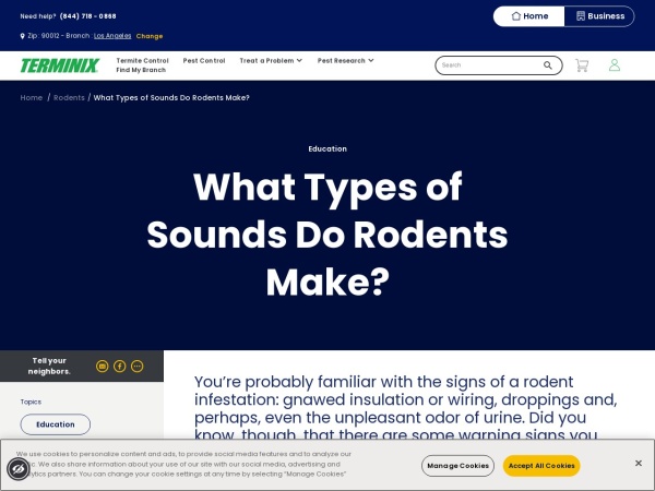 Screenshot of website