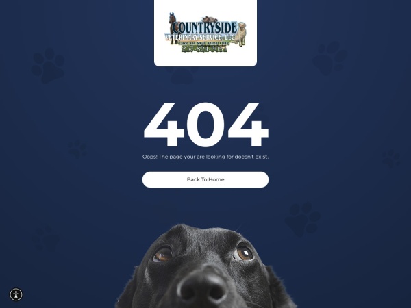 Screenshot of website