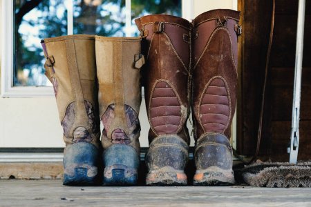 summer snake boots