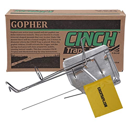 Best Gopher Traps Review 2021: How To Pick The Best One?