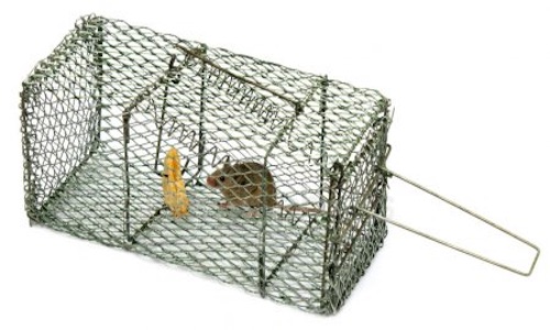 a minnow trap