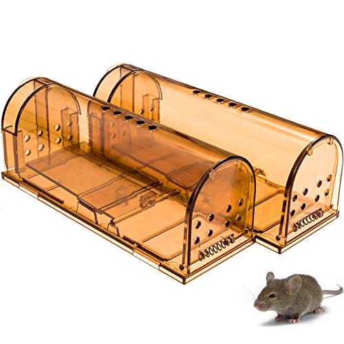 Best Rat Trap(Review 2021) – 10 bait list will make you catch a mouse