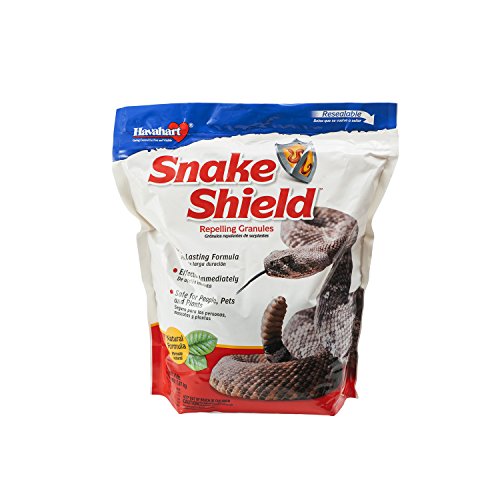 The 6 Best Snake Repellent - How to Keep Snakes Away 2021