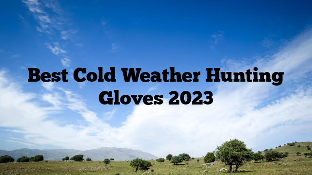 Best Cold Weather Hunting Gloves 2023
