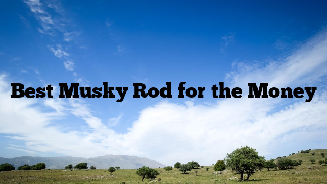 Best Musky Rod for the Money