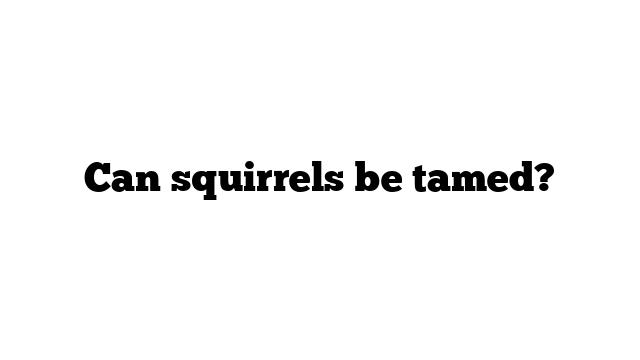 Can squirrels be tamed?