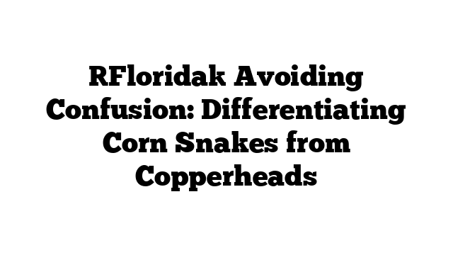 [Florida] Avoiding Confusion: Differentiating Corn Snakes from Copperheads