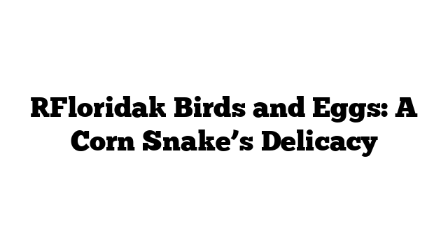 [Florida] Birds and Eggs: A Corn Snake’s Delicacy