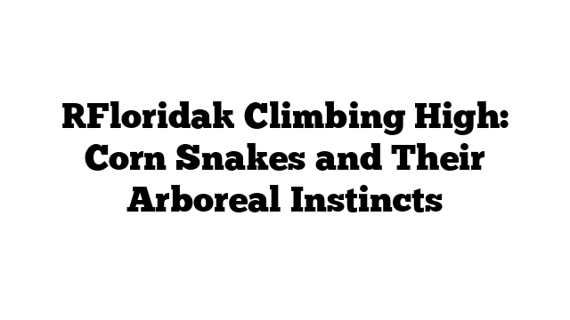 [Florida] Climbing High: Corn Snakes and Their Arboreal Instincts