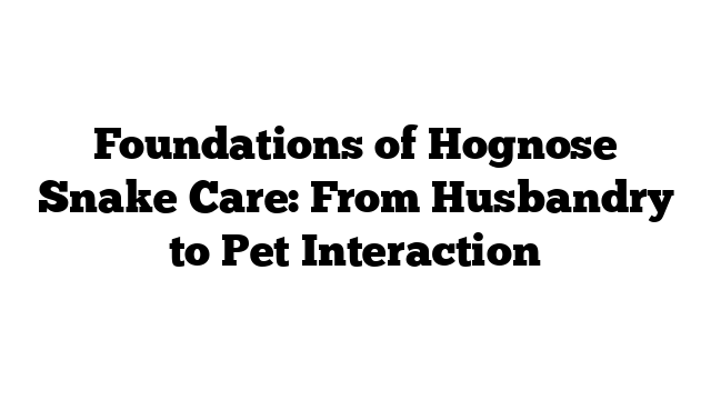 Foundations of Hognose Snake Care: From Husbandry to Pet Interaction