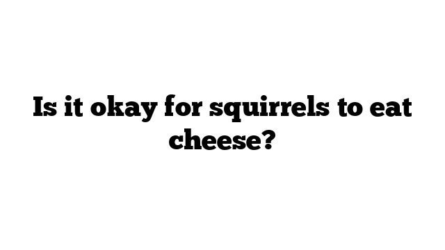 Is it okay for squirrels to eat cheese?