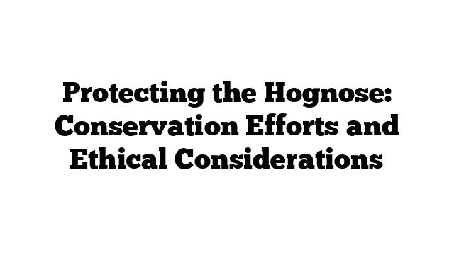 Protecting the Hognose: Conservation Efforts and Ethical Considerations