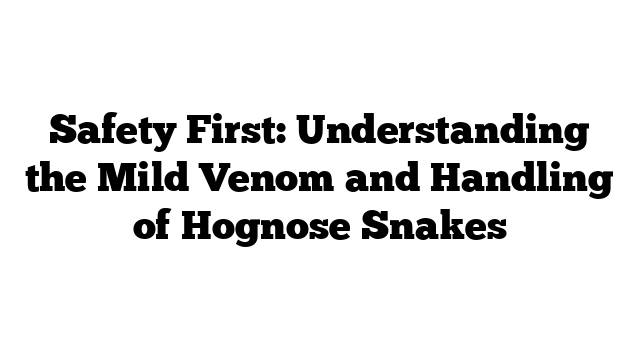 Safety First: Understanding the Mild Venom and Handling of Hognose Snakes