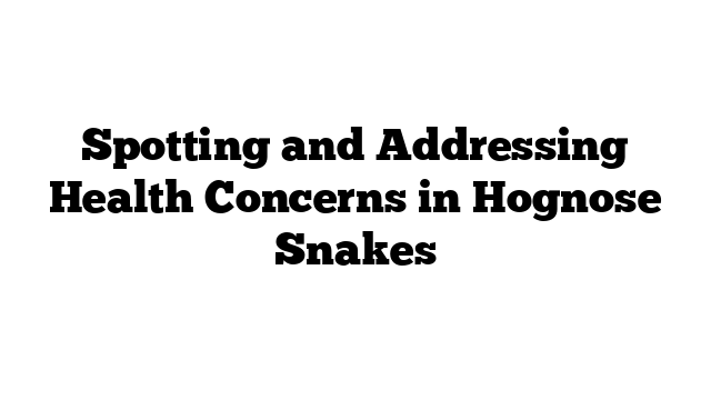 Spotting and Addressing Health Concerns in Hognose Snakes