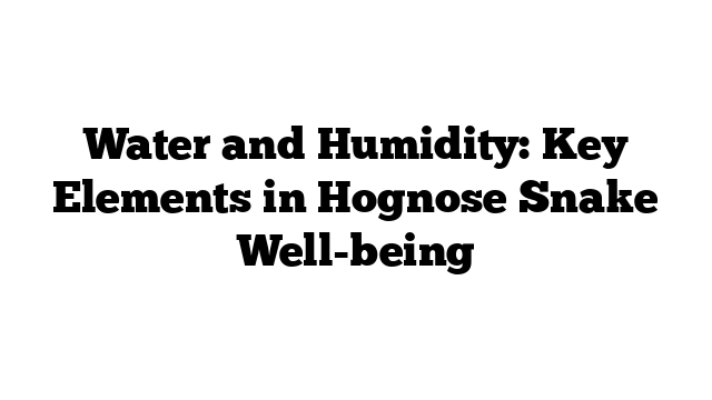 Water and Humidity: Key Elements in Hognose Snake Well-being