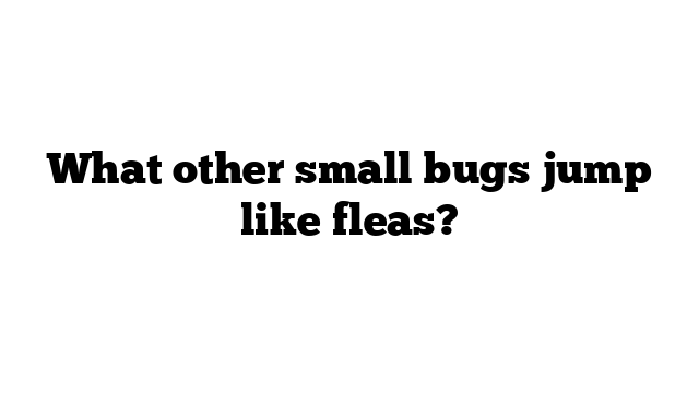 What other small bugs jump like fleas?