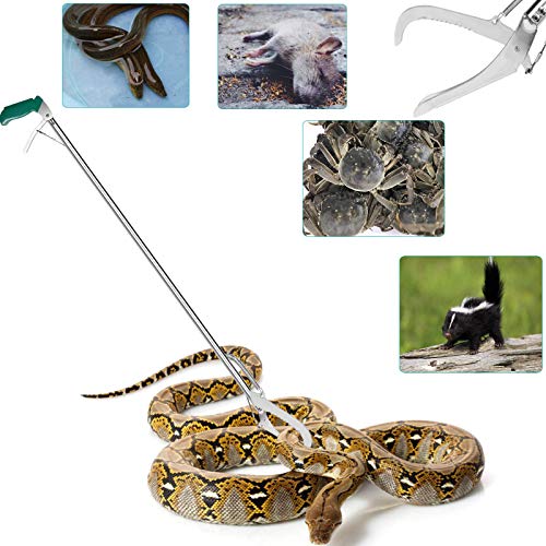 The 4 Best Snake Tongs + Snake Hook Reviews 2022 